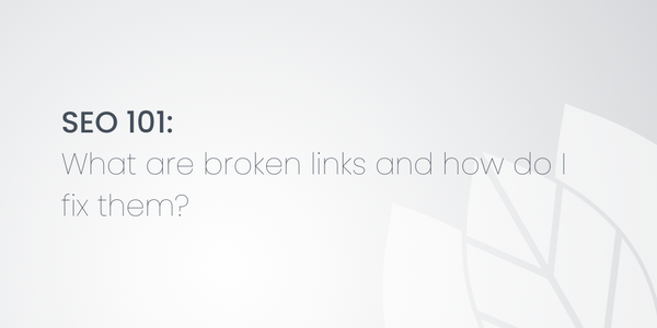SEO 101: What are broken links and how do I fix them?