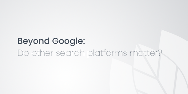 Beyond Google: Do other search platforms matter?